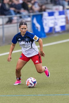Bild 359 - wBJ Hamburger SV - FC Suederelbe : Ergebnis: 9:0